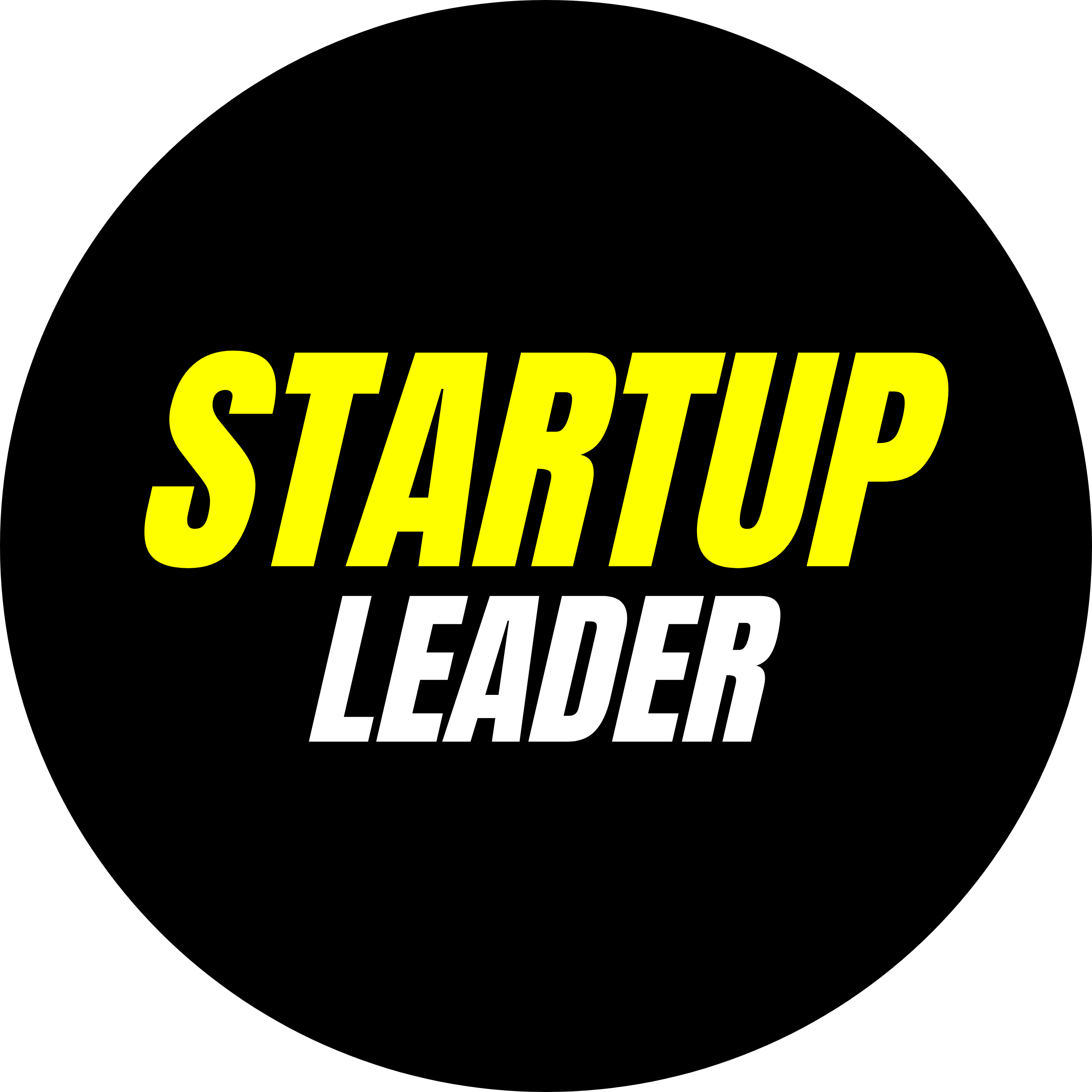 startup leader